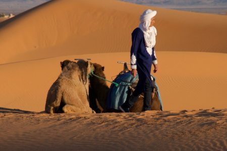 Private 2-Day Desert Trip with Camping and Camel Trekking