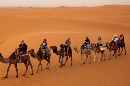 From Marrakech: 3-Day Desert Tour to Fes