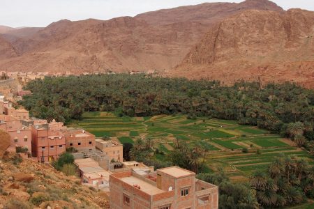 From Ouarzazate: Todra Gorges and 1000 Kasbahs Road Day Tour