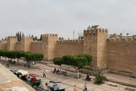 Day Trip To Taroudant With Lunch From Agadir