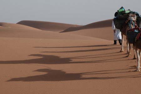 From Fes: 2-Day Small Group Desert Tour