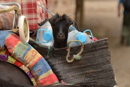 3 days Berber Villages Trek from Marrakech