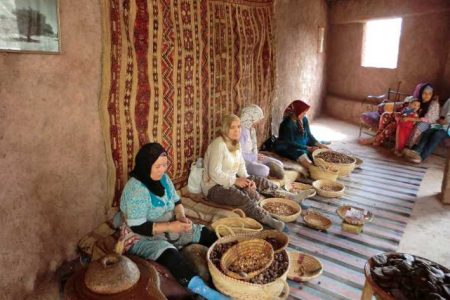 Ourika Valley Full-Day Trip From Marrakech